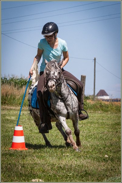 Mounted Games 107